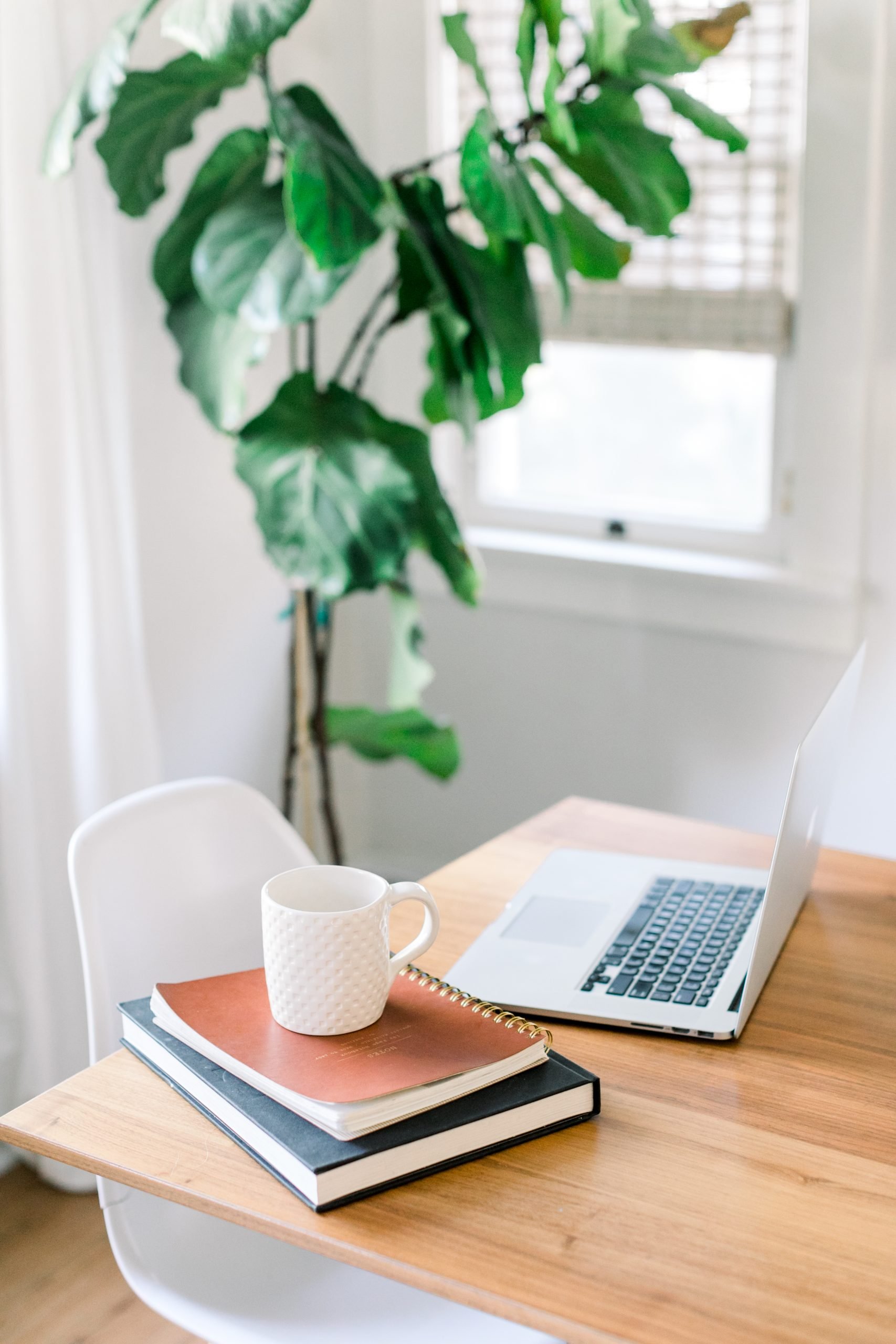1416068-social-curator-05-2019-29